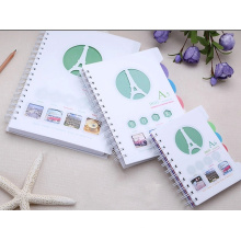 Spiral PP Cover Notebook mit verschiedenen Farb-PP-Teiler